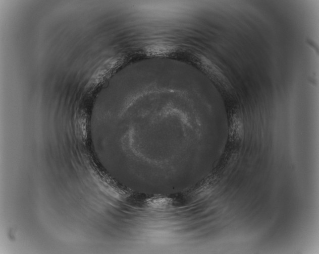 X0000102240452200808081440