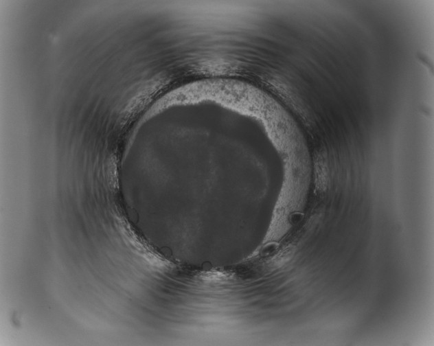 X0000102240453200808081440