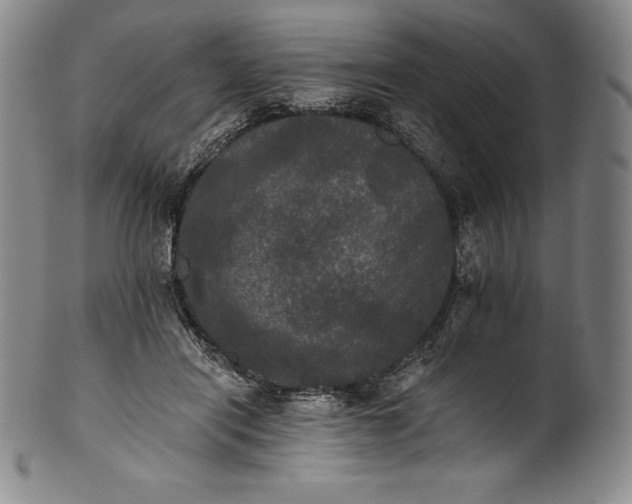 X0000102240454200808081440