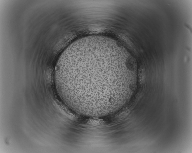 X0000102240455200808081440