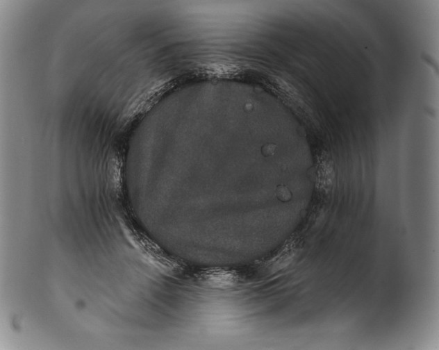 X0000102240456200808081440