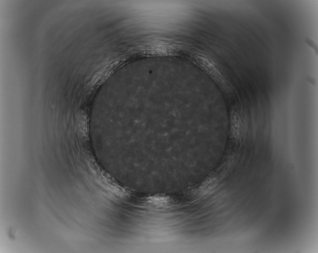 X0000102240457200808081440