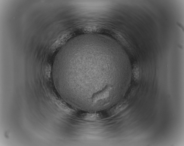 X0000102240458200808081440