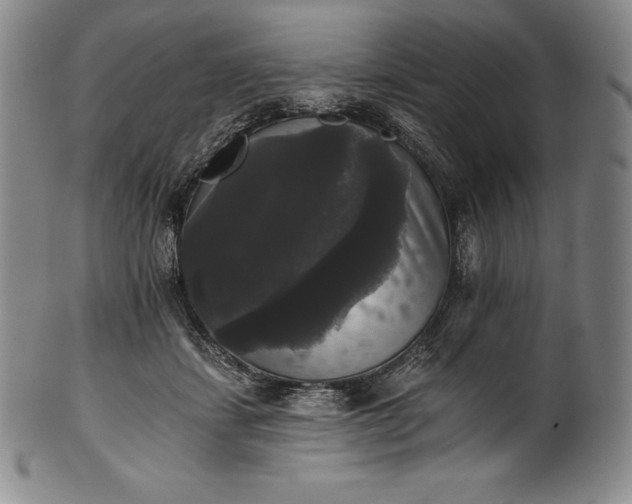 X0000102240459200808081440