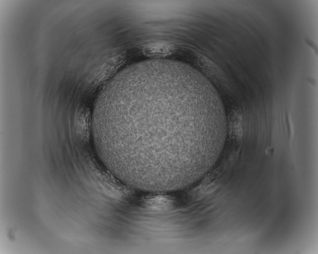 X0000102240460200808081440