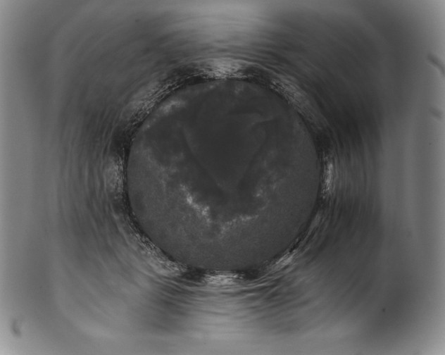 X0000102240461200808081440