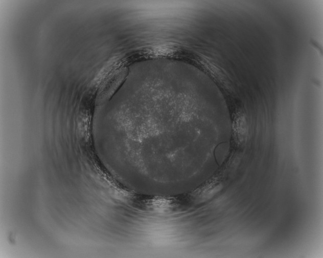 X0000102240462200808081440