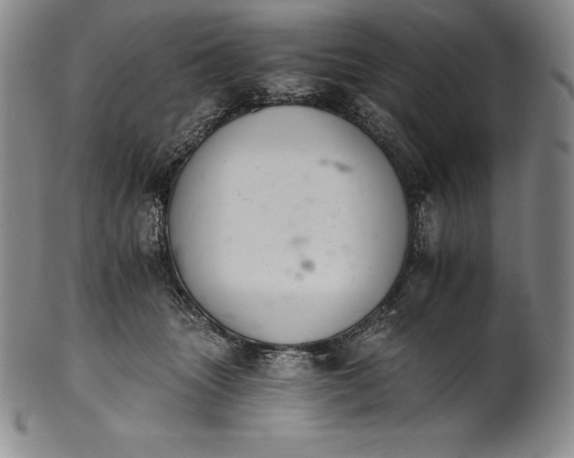 X0000102240463200808081440