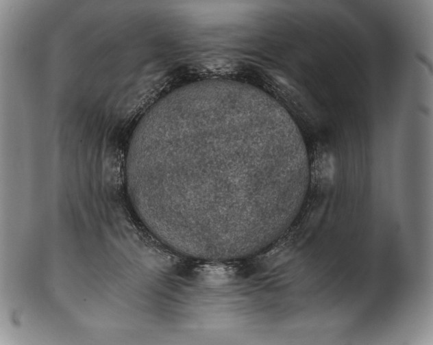 X0000102240464200808081440