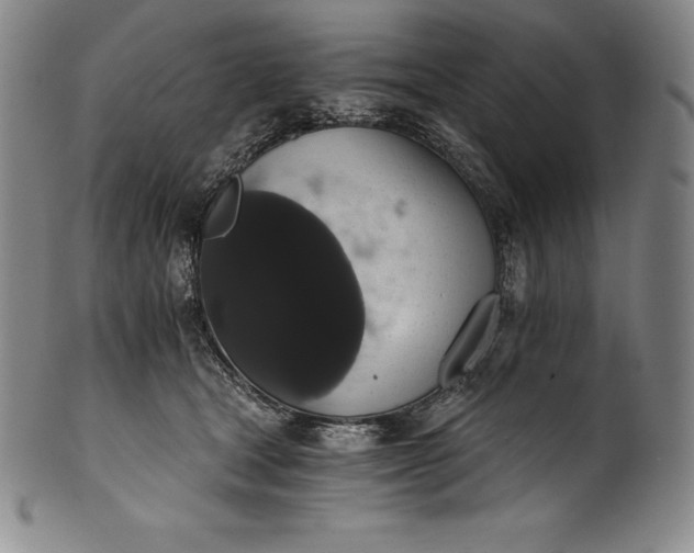 X0000102240465200808081440