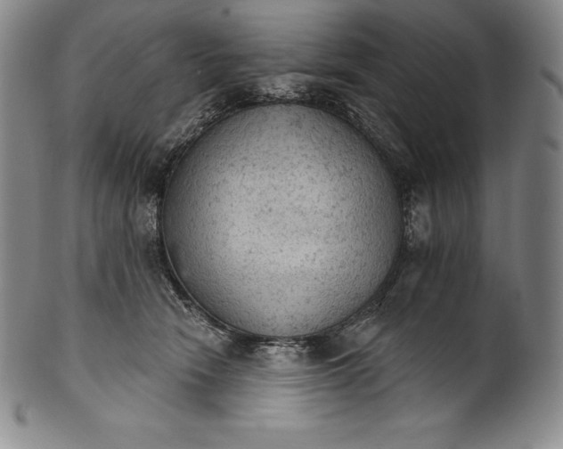 X0000102240466200808081440