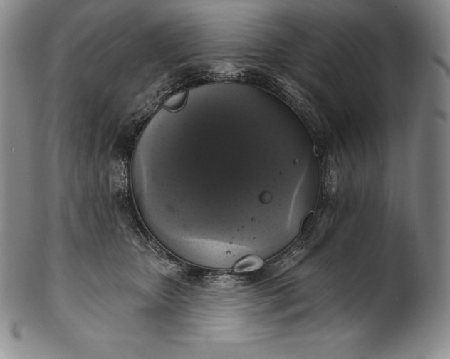 X0000102240467200808081440