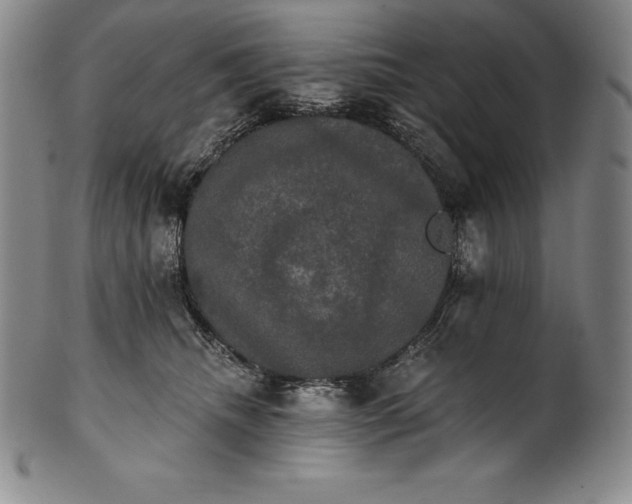 X0000102240468200808081440