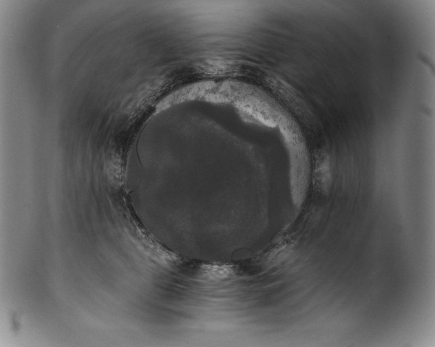 X0000102240469200808081440