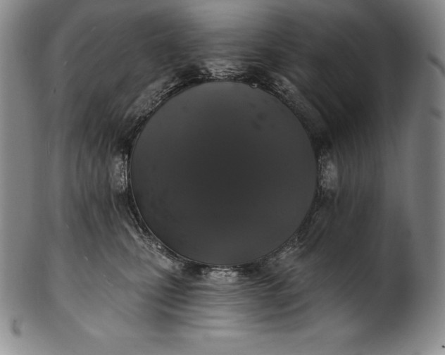 X0000102240471200808081440