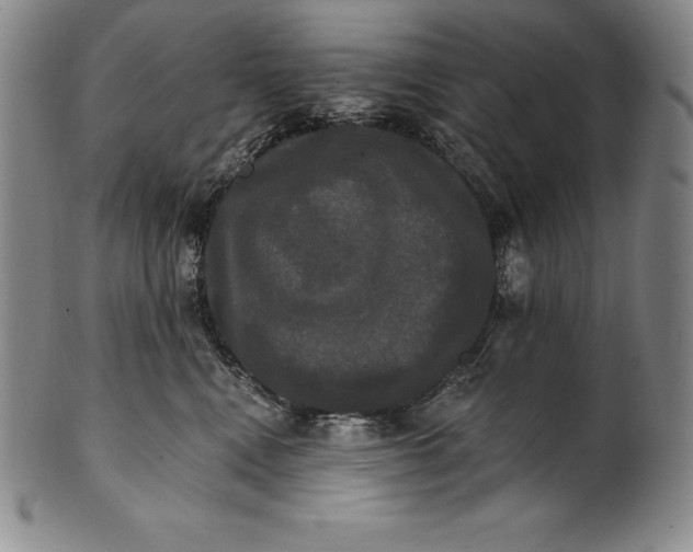 X0000102240472200808081440