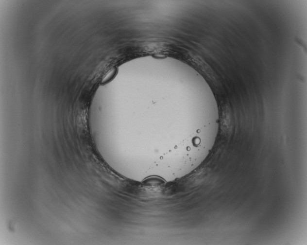 X0000102240473200808081440