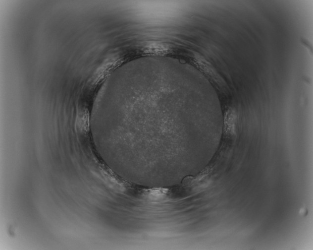 X0000102240474200808081440