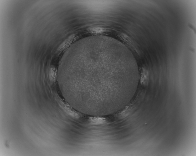 X0000102240476200808081440