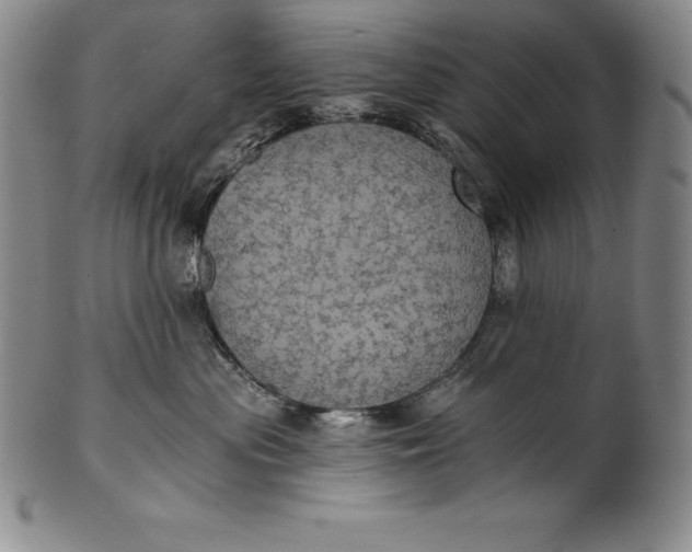 X0000102240477200808081440