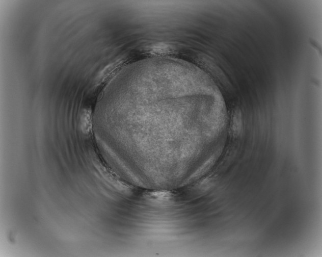 X0000102240478200808081440