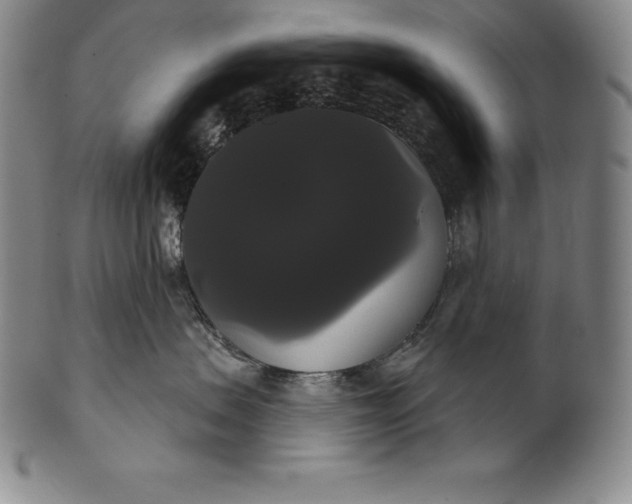 X0000102240479200808081440