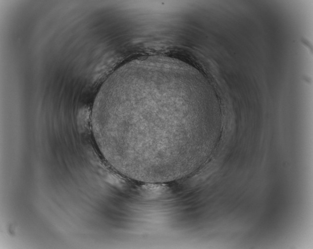 X0000102240480200808081440