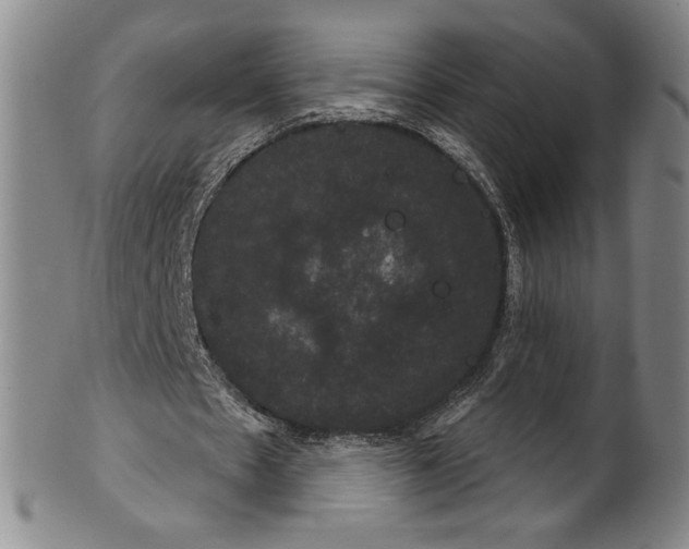 X0000102240481200808081440