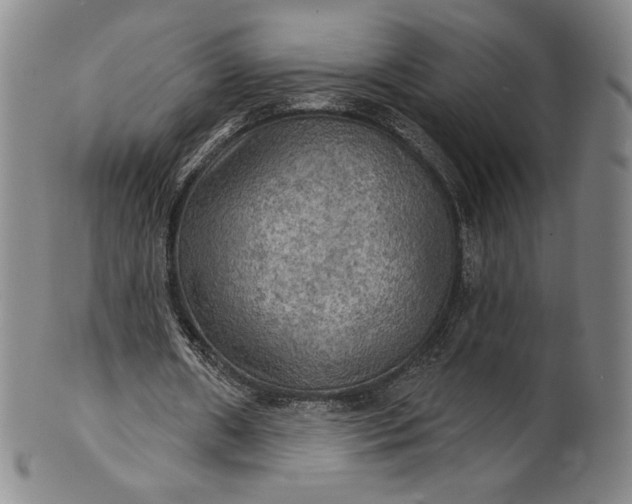 X0000102240482200808081440