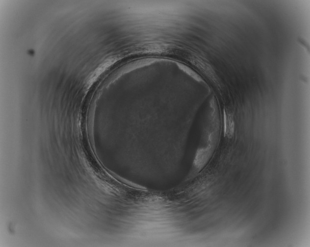 X0000102240483200808081440