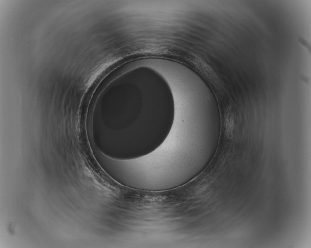 X0000102240484200808081440