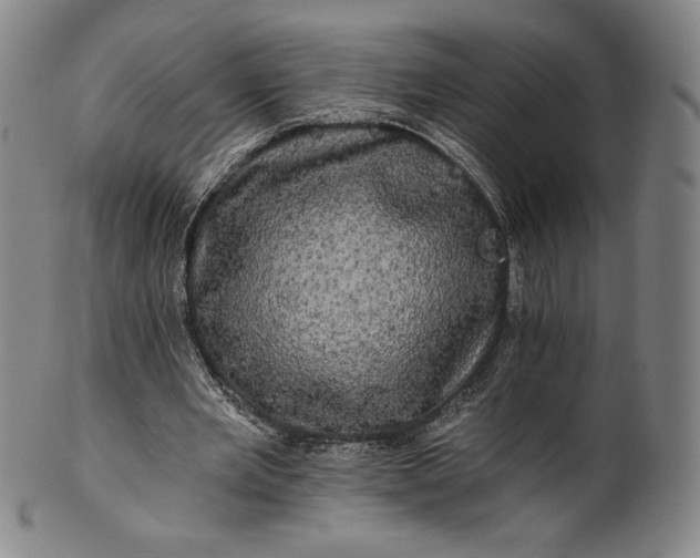 X0000102240485200808081440