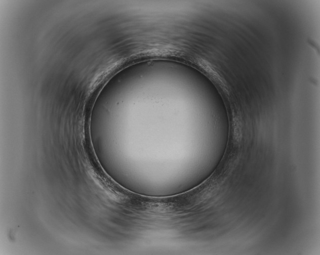 X0000102240486200808081439