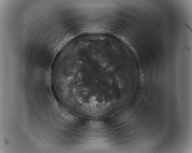 X0000102240487200808081439