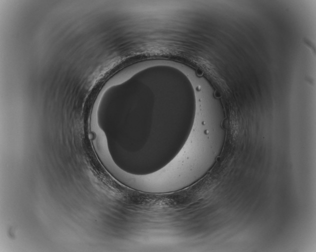 X0000102240488200808081439