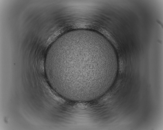 X0000102240489200808081439