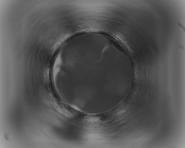 X0000102240491200808081439