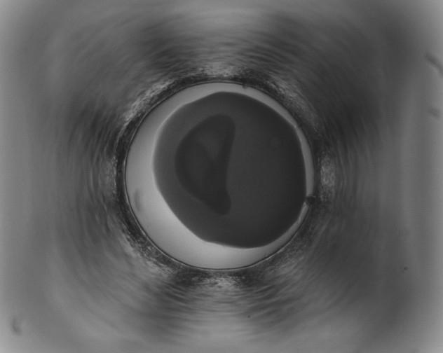 X0000102240492200808081439