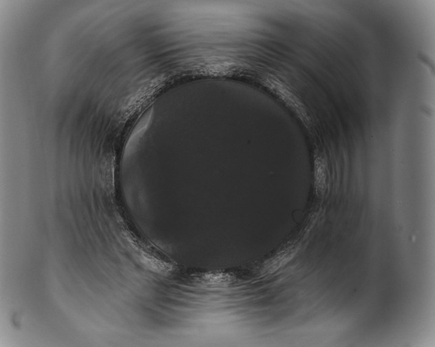 X0000102240493200808081439