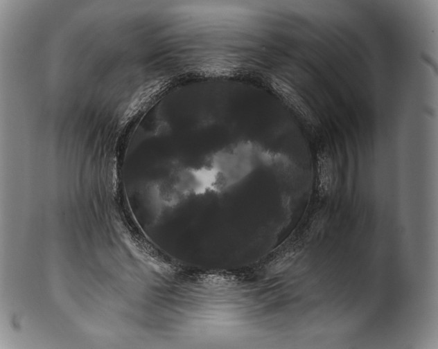 X0000102240494200808081439