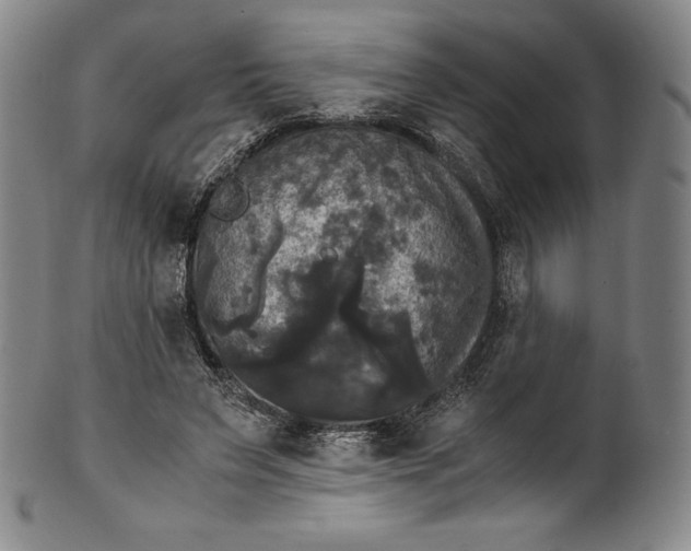 X0000102240495200808081439