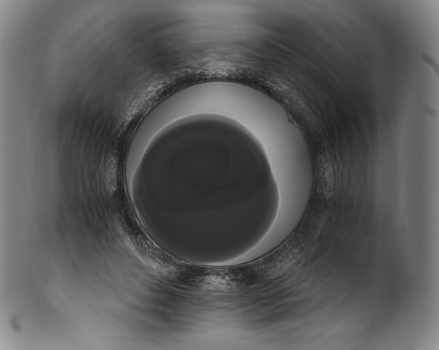 X0000102240496200808081439