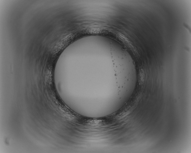 X0000102240497200808081439