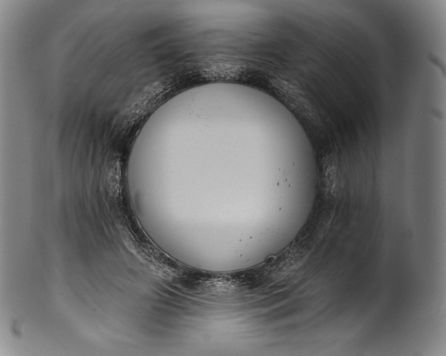 X0000102240498200808081439