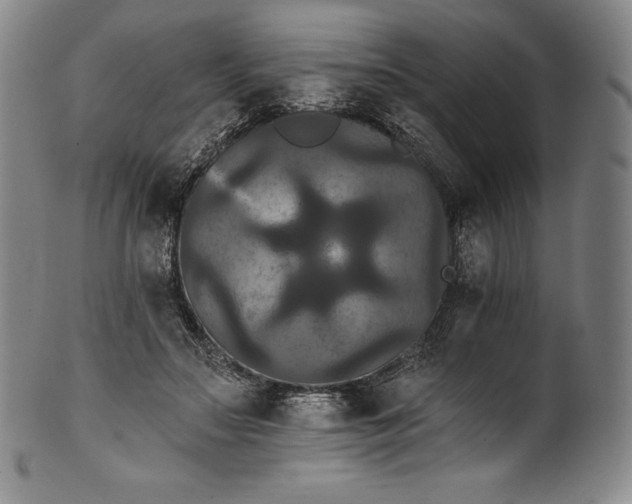 X0000102240499200808081439