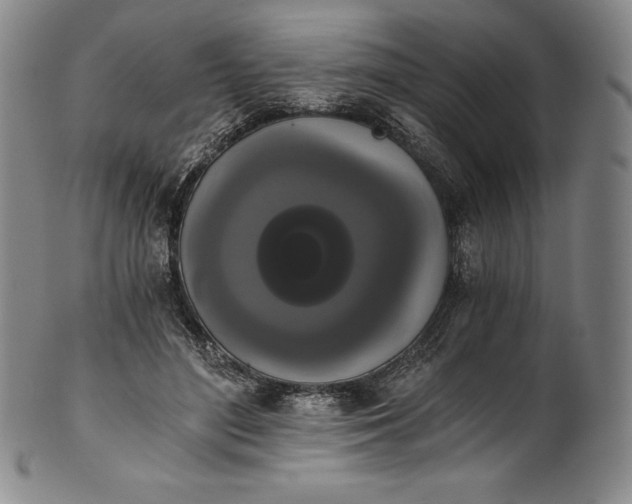 X0000102240500200808081439