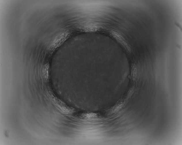 X0000102240501200808081439