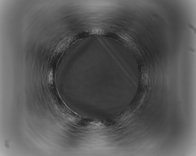 X0000102240502200808081439