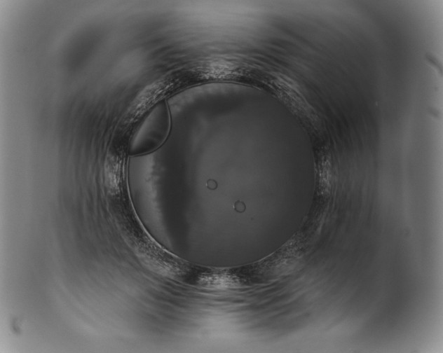 X0000102240503200808081439