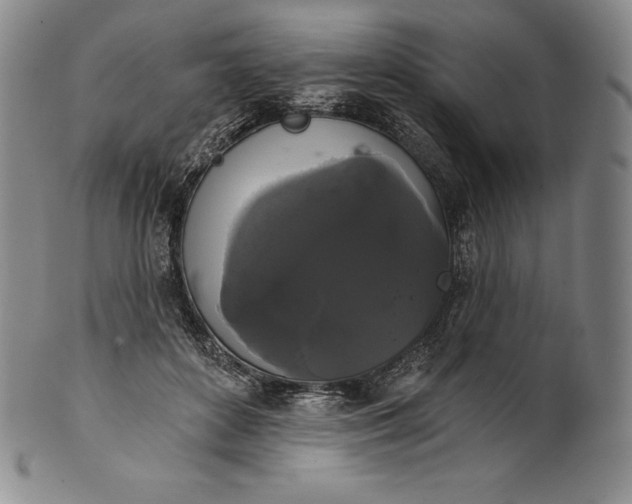 X0000102240504200808081439